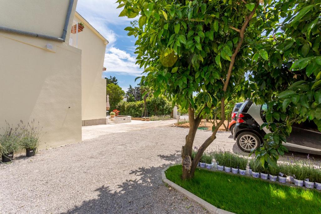 Mise Luxury Apartments photo