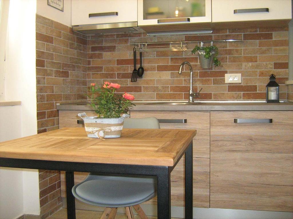 studio apartman luki photo