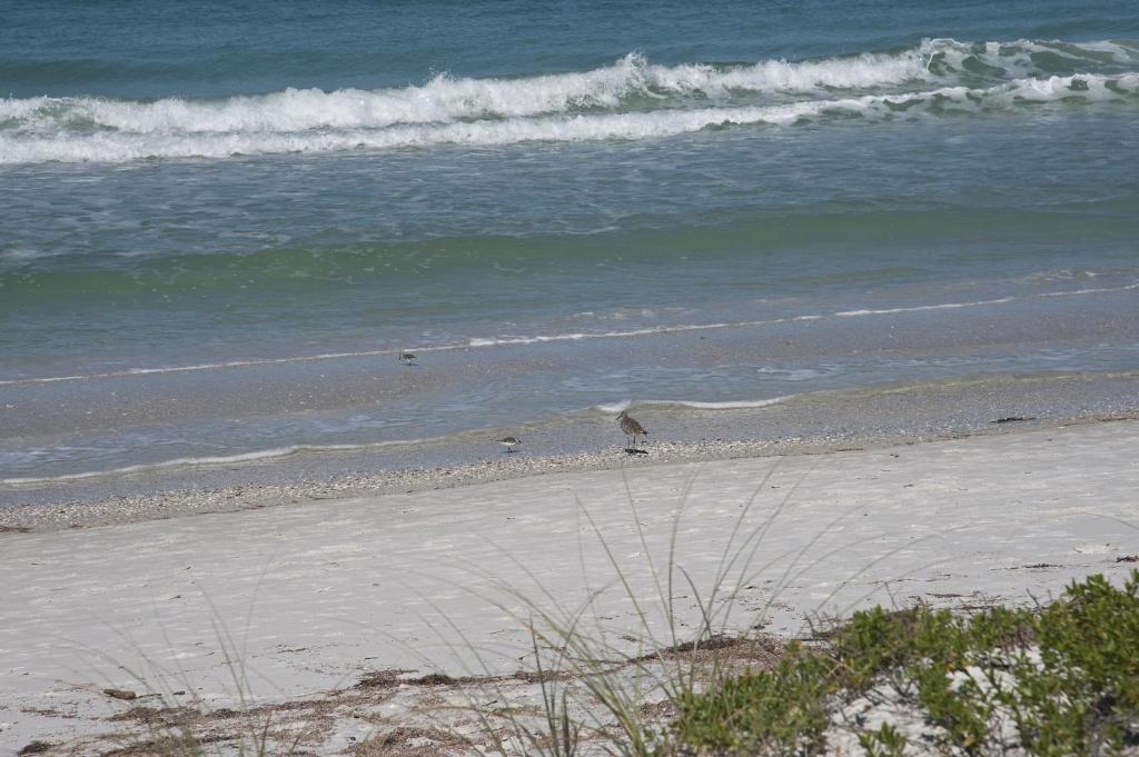 Bungalow Beach Resort photo