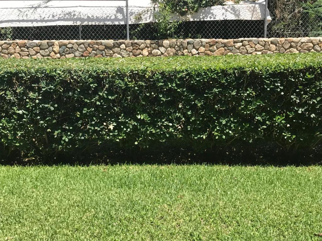 Quinta Azul Oaxaca photo