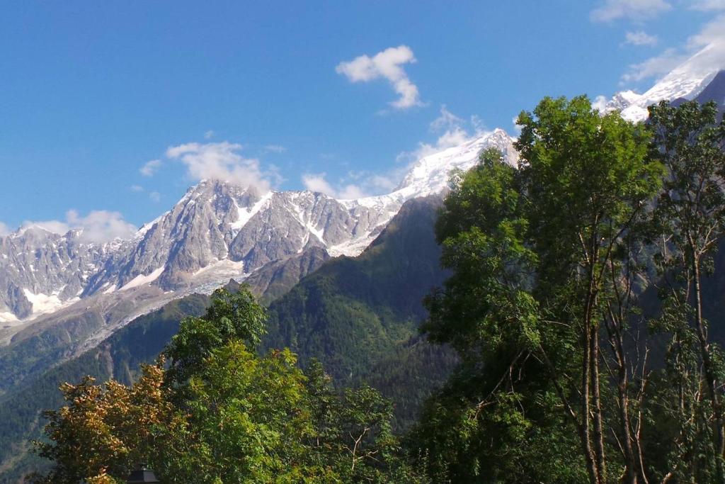 Spacious and stylish flat at the foot of the Mont-Blanc ideal for ski in ski out - 1