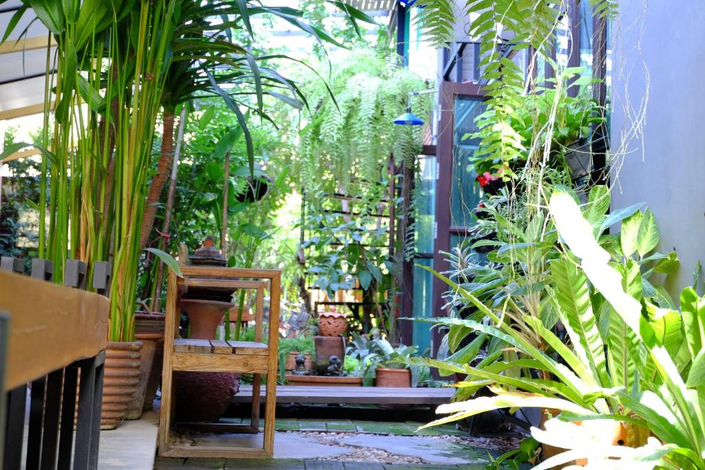 The White Elephant Home — Hotel in Chiang Mai