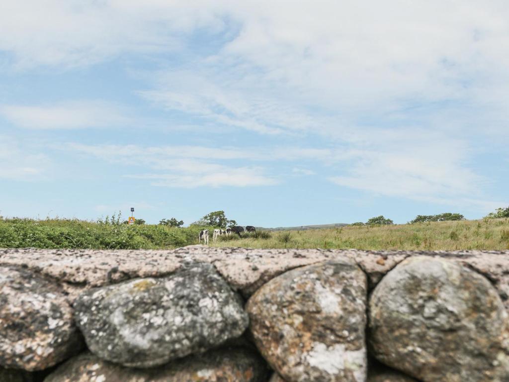 2 Park Nook Close, Corney photo 6