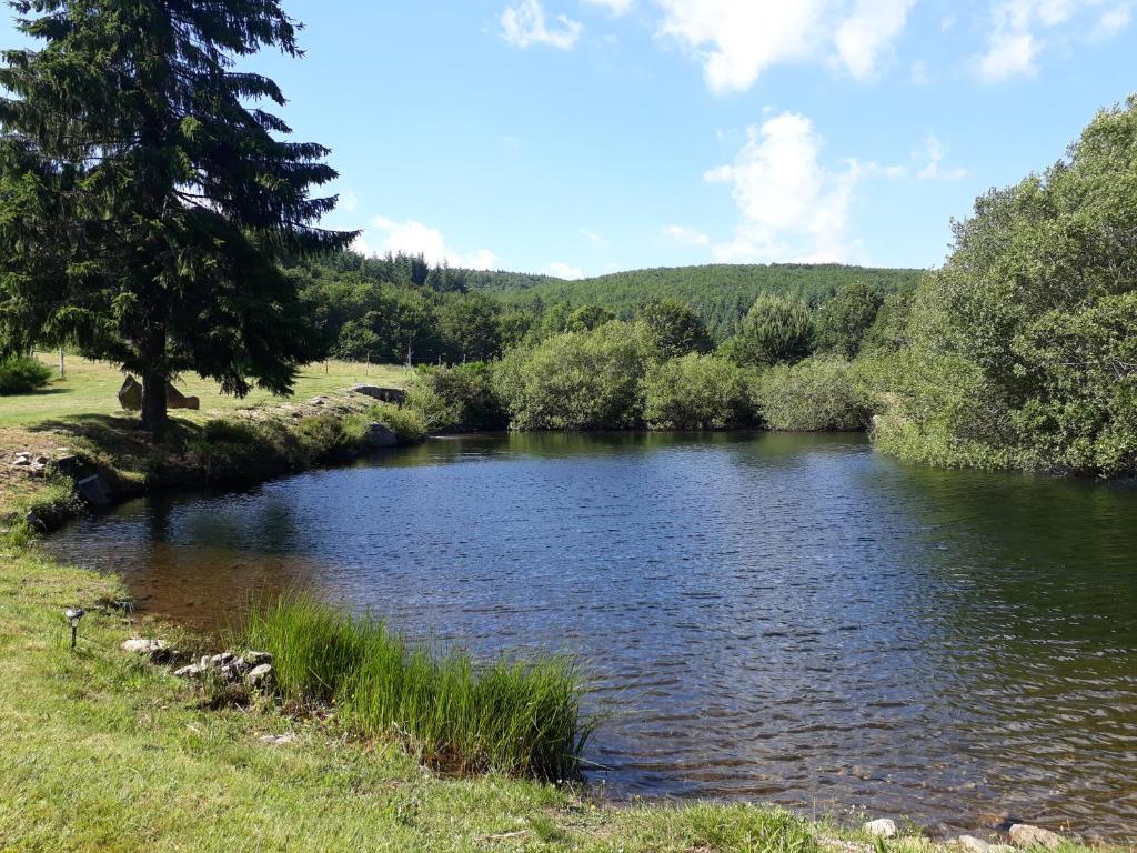 Gites Au Coeur Des Bois - ViaMichelin HOTEL - Lacaune 34330