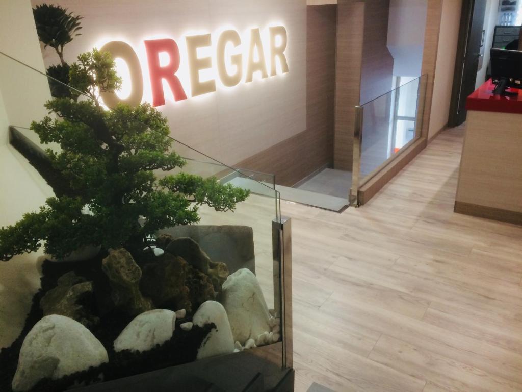 Hostal Oregar - 2