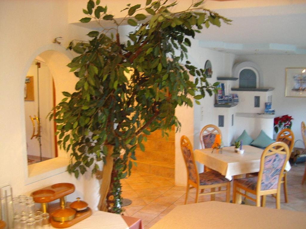 Haus Romantika - 5