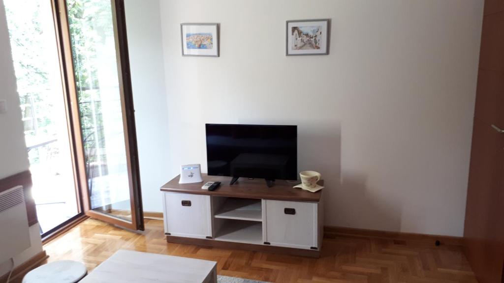 Apartment Blagojevic - 3