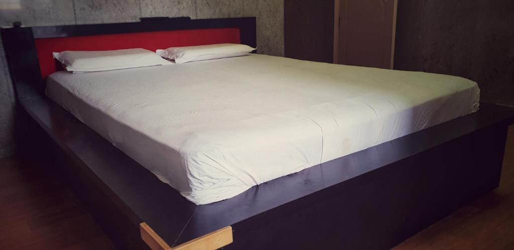 Hotel Ravi Mayur International photo
