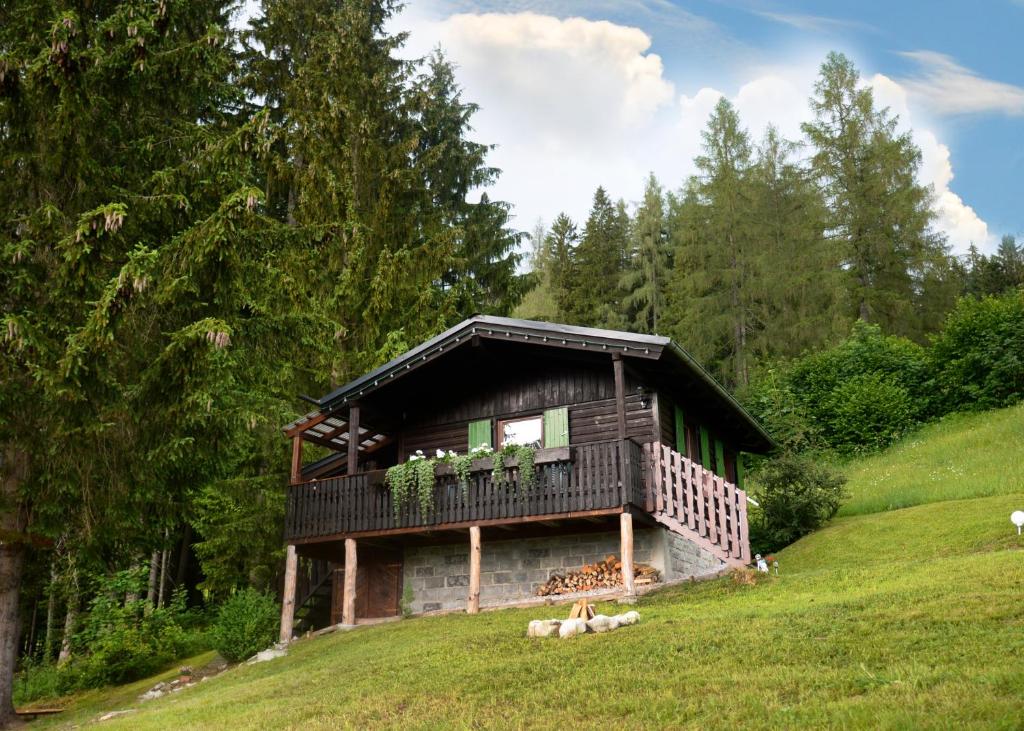 Schwammerlhütte - 3