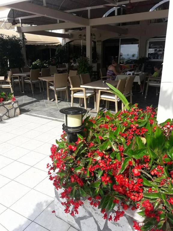 Hotel Florakis photo