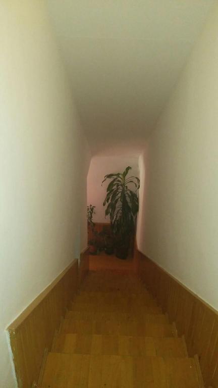 Apartman Ela - 2