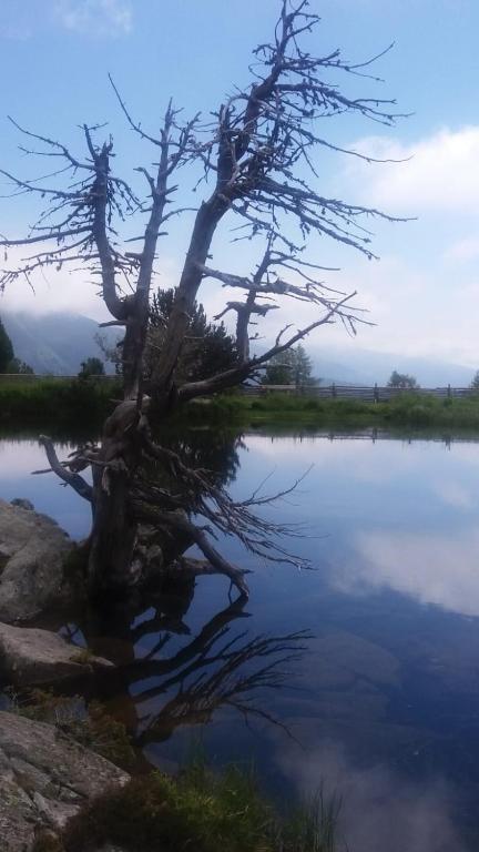 Sports and activities