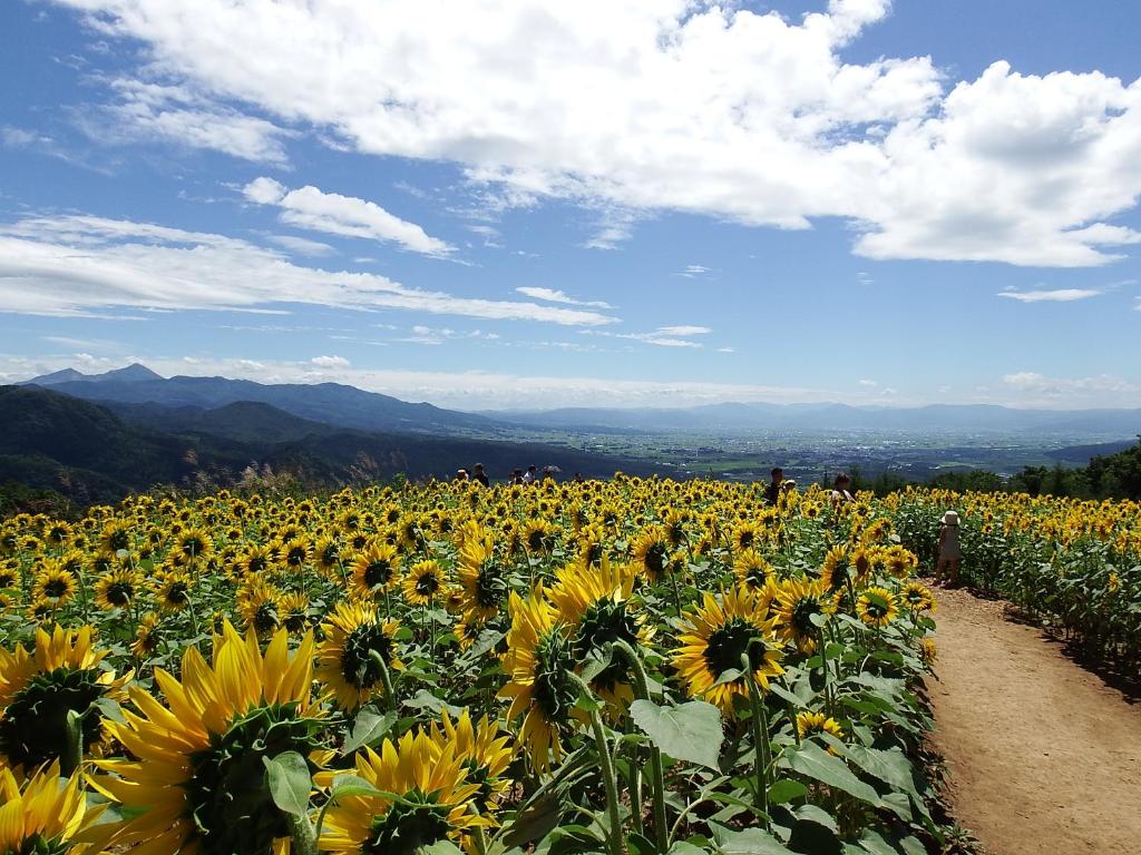 Surrounding environment