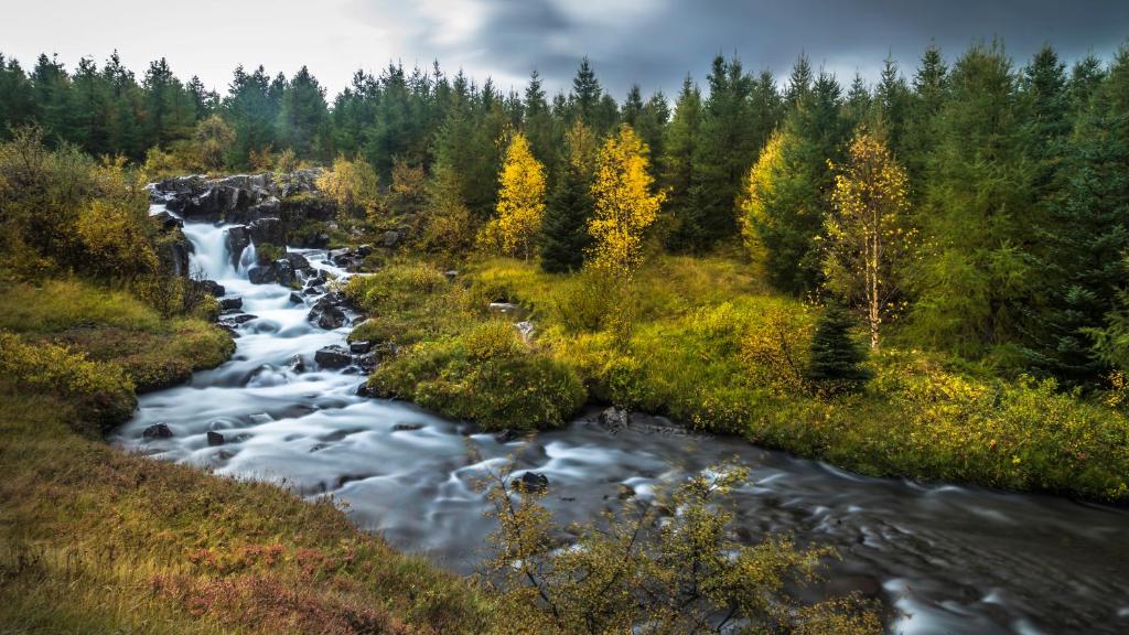 Surrounding environment