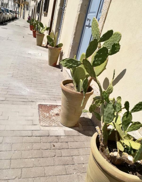 La Casa del mare - 5
