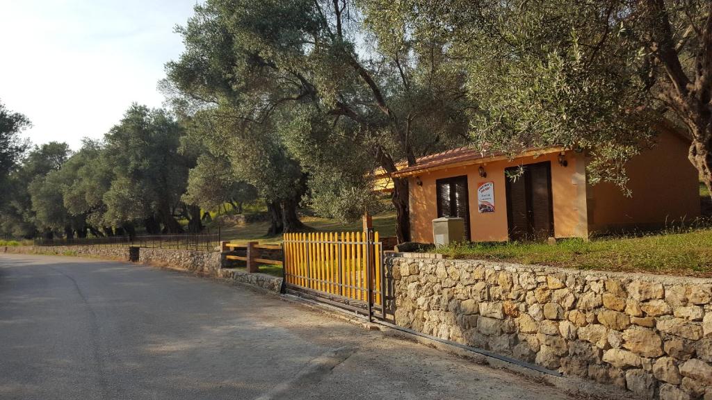 Olive Paradise - 5