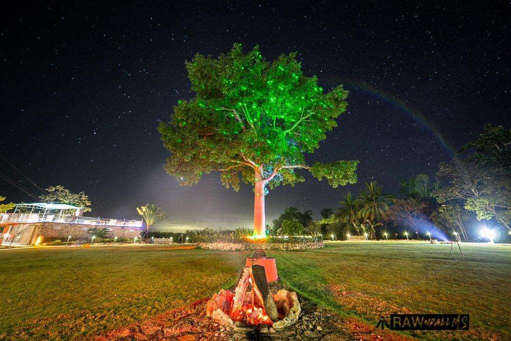La Casa de Don David — Hotel in El Remate