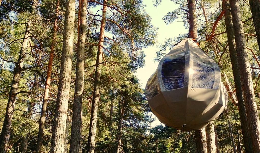 Feeling cone — Hotel in Jurmala