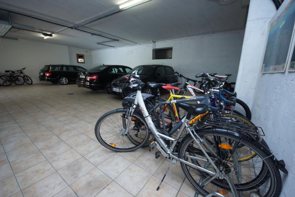 Sports and activities