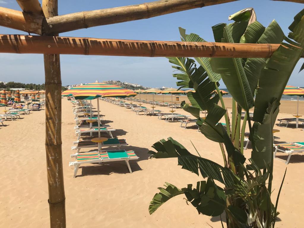 Oasi Beach Hotel - 3