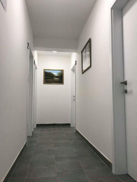Filipovic rent a car & apartments photo