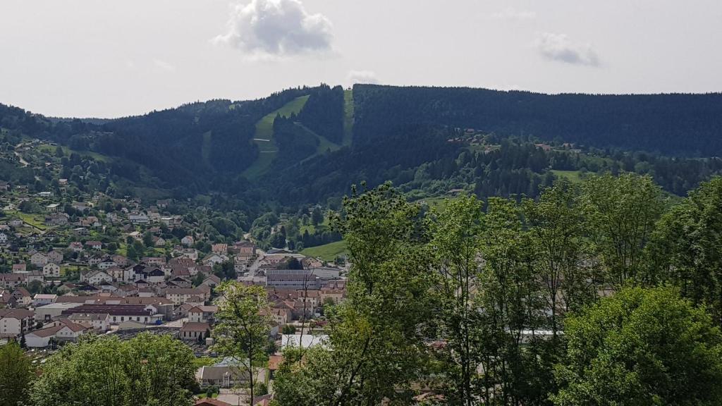 F2 SUR LES HAUTEURS DE GERARDMER - 2