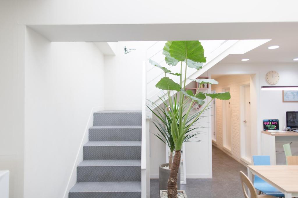 Shared lounge/TV area