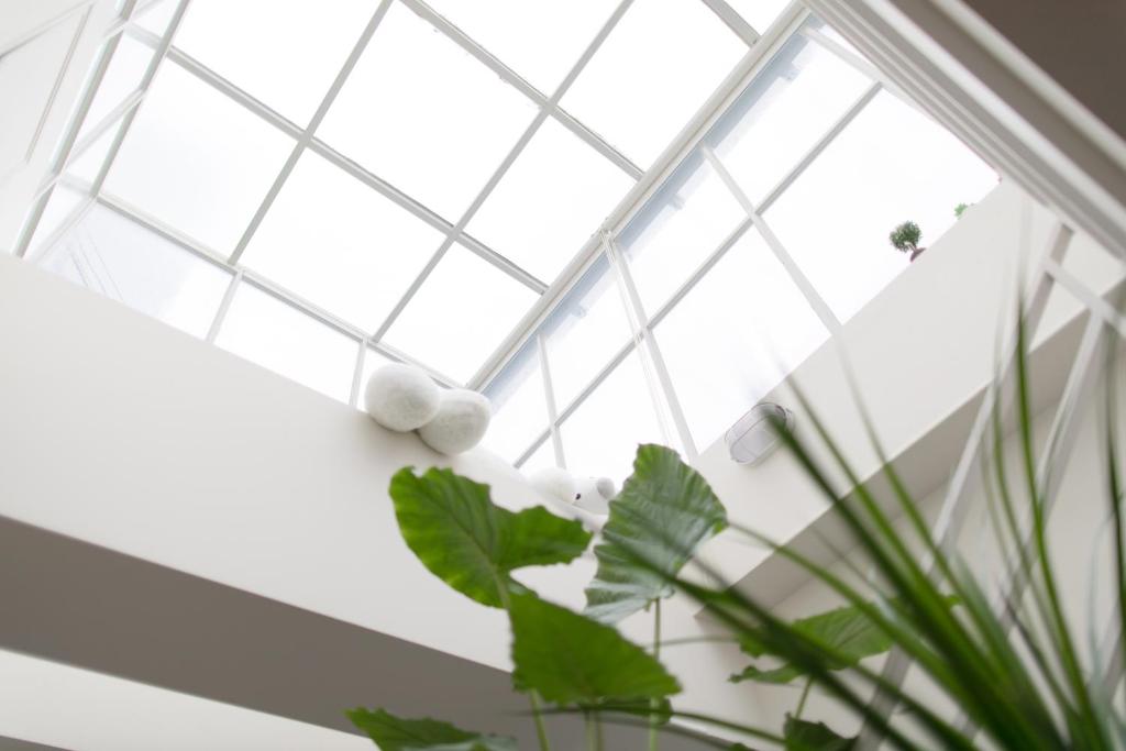 Shared lounge/TV area