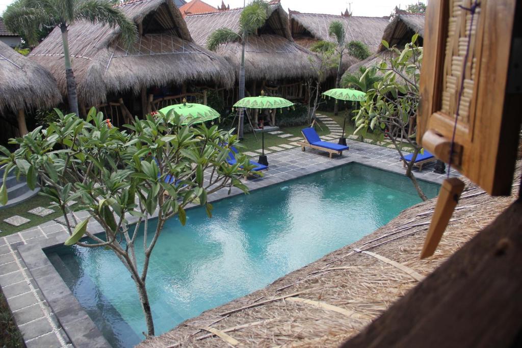 The Calmtree Bungalow photo