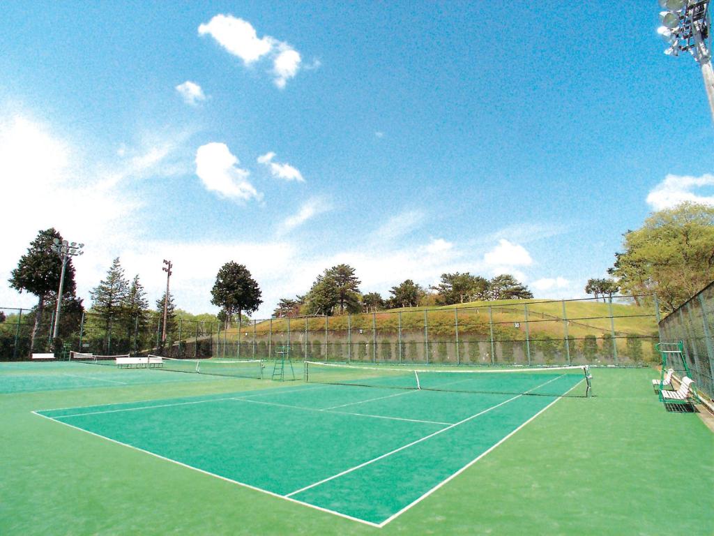 Tennis court