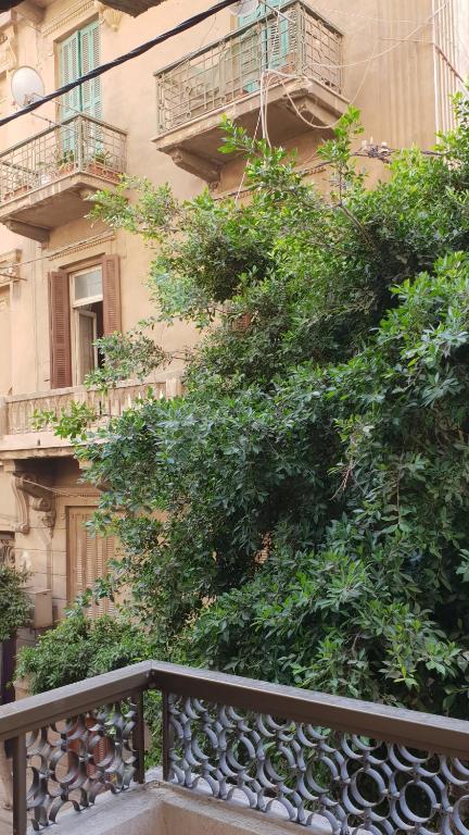 Caesar House