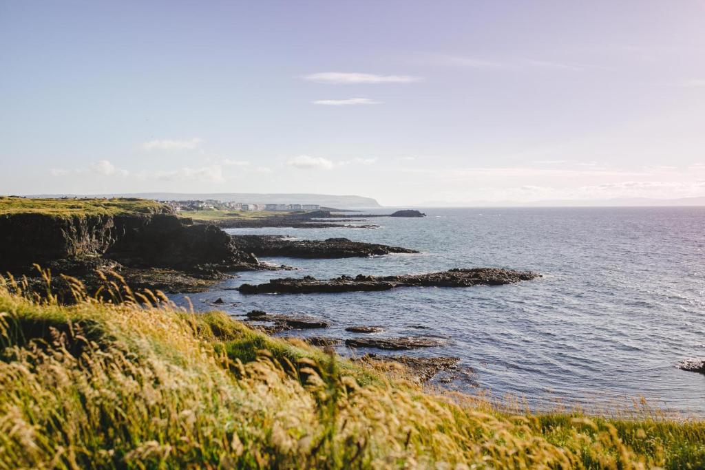 Inn On The Coast photo