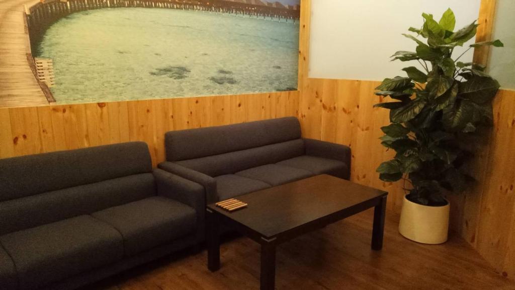 D'calton seaview apartment photo