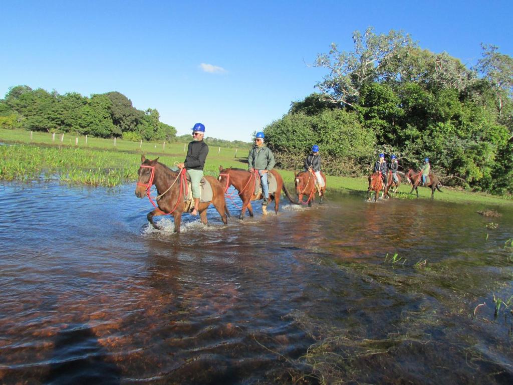 Pousada Sao Joao - Estrada Parque Pantanal photo