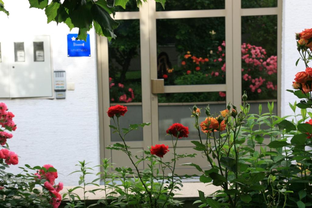 Apartman Malina photo