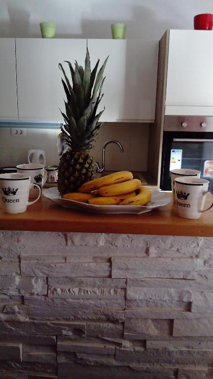 El panoramico, Zadar