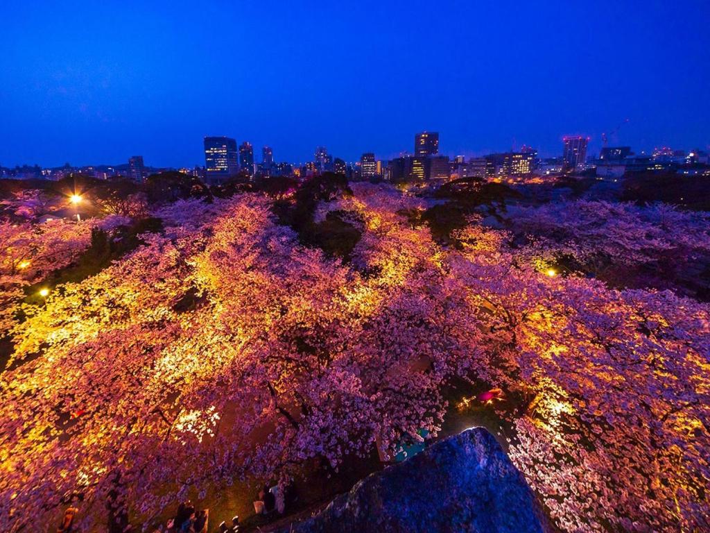 周辺観光スポット