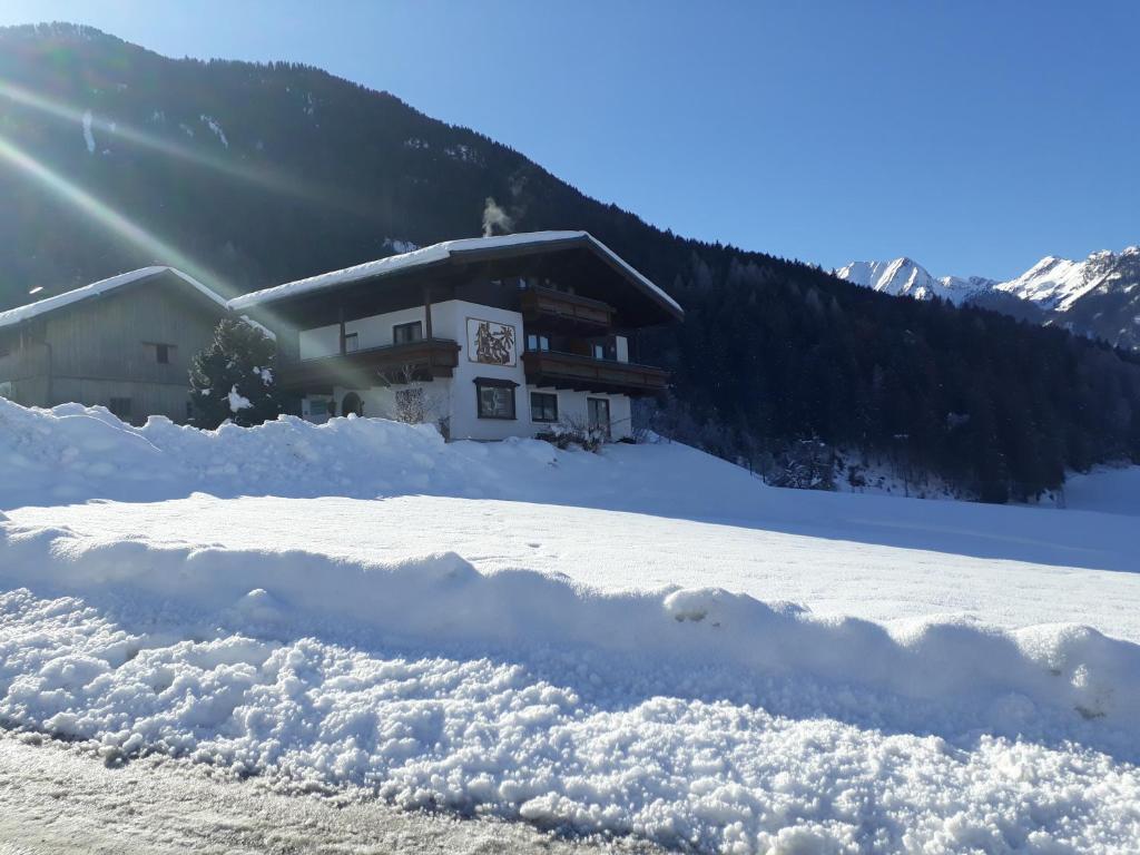 Appartement Wildkogelblick - 3