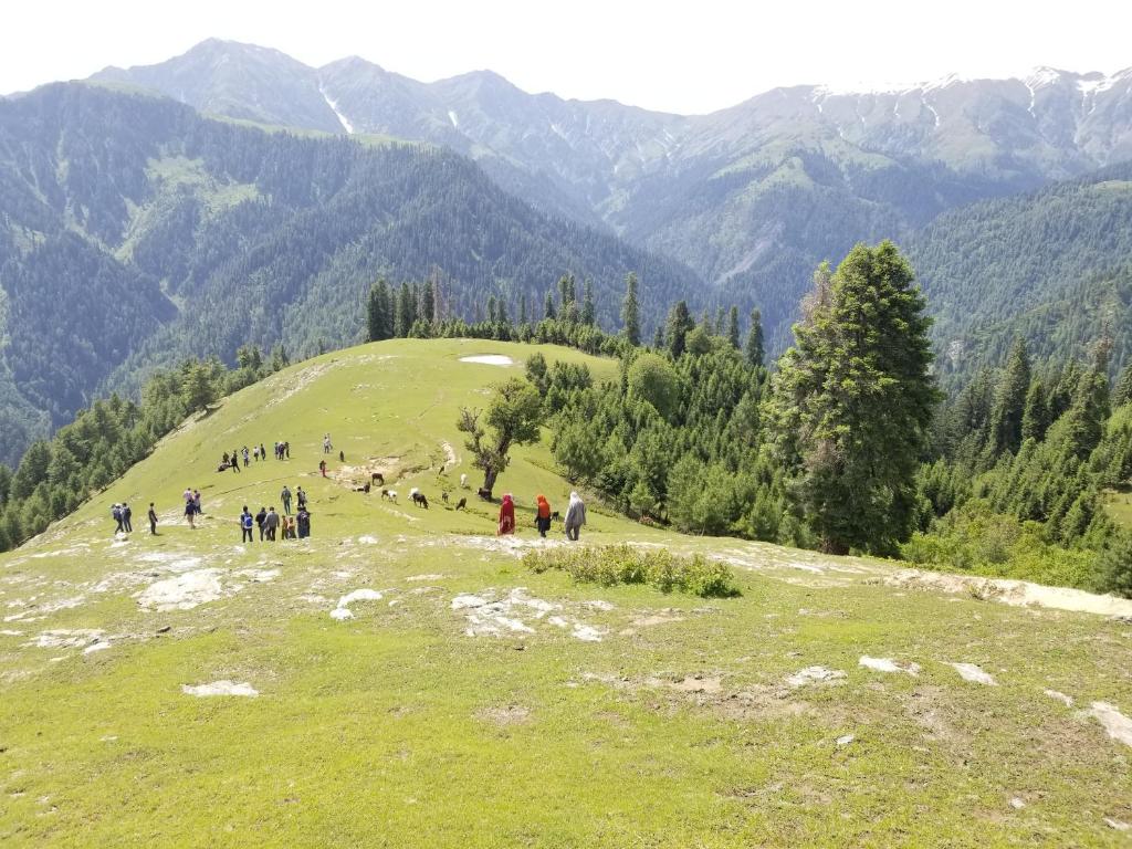 Chinar Resorts — Hotel in Abbottabad