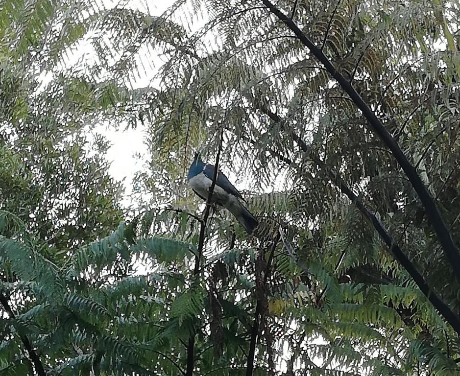 Sports and activities