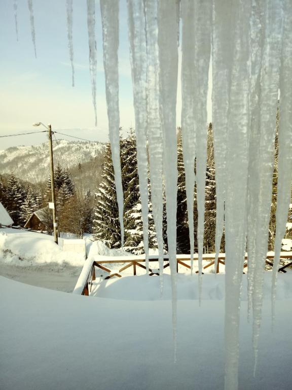 Chalet Diana - 5