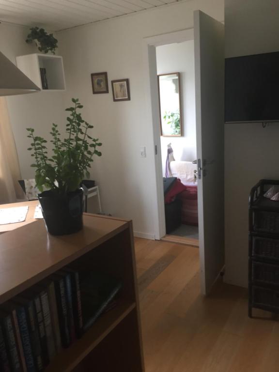 Habitació Doble - 1 o 2 Llits amb Dutxa