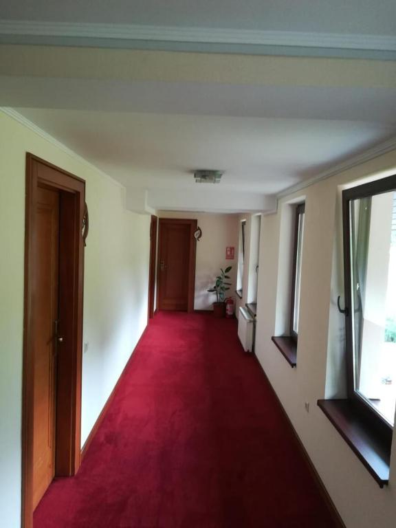 Hotel Dennis photo