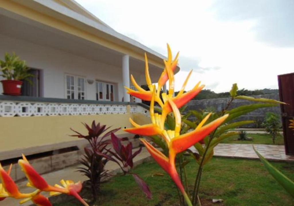 Principe Residencial