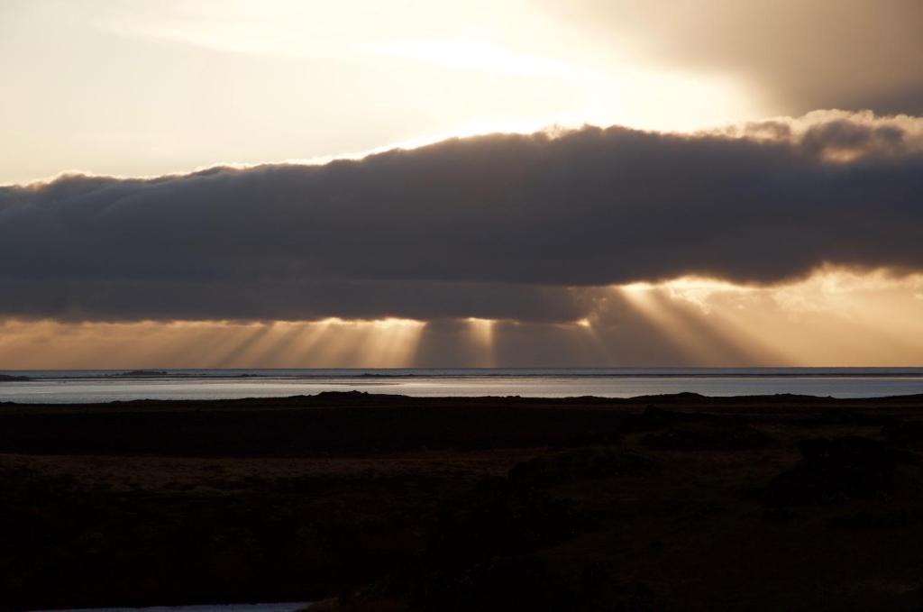 Surrounding environment