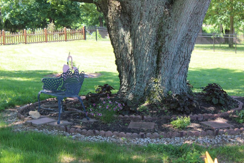 Carriage Stop Bed & Breakfast photo