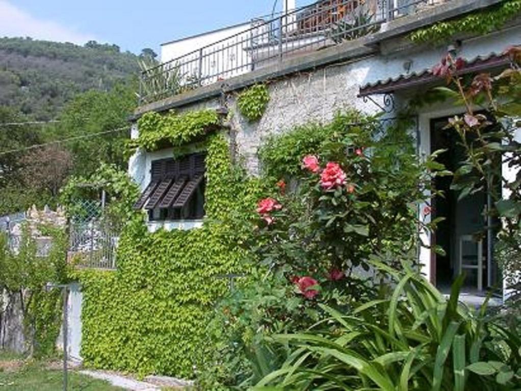 Casa Blu - 4