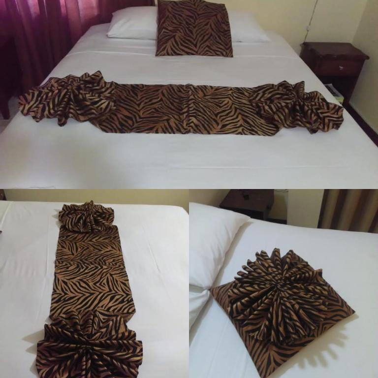 Jasmine Inn photo