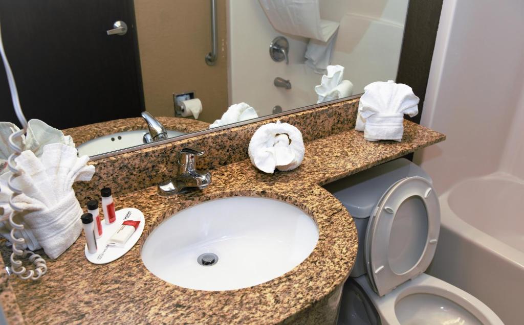 Microtel Inn & Suites by Wyndham Jacksonville Airport photo