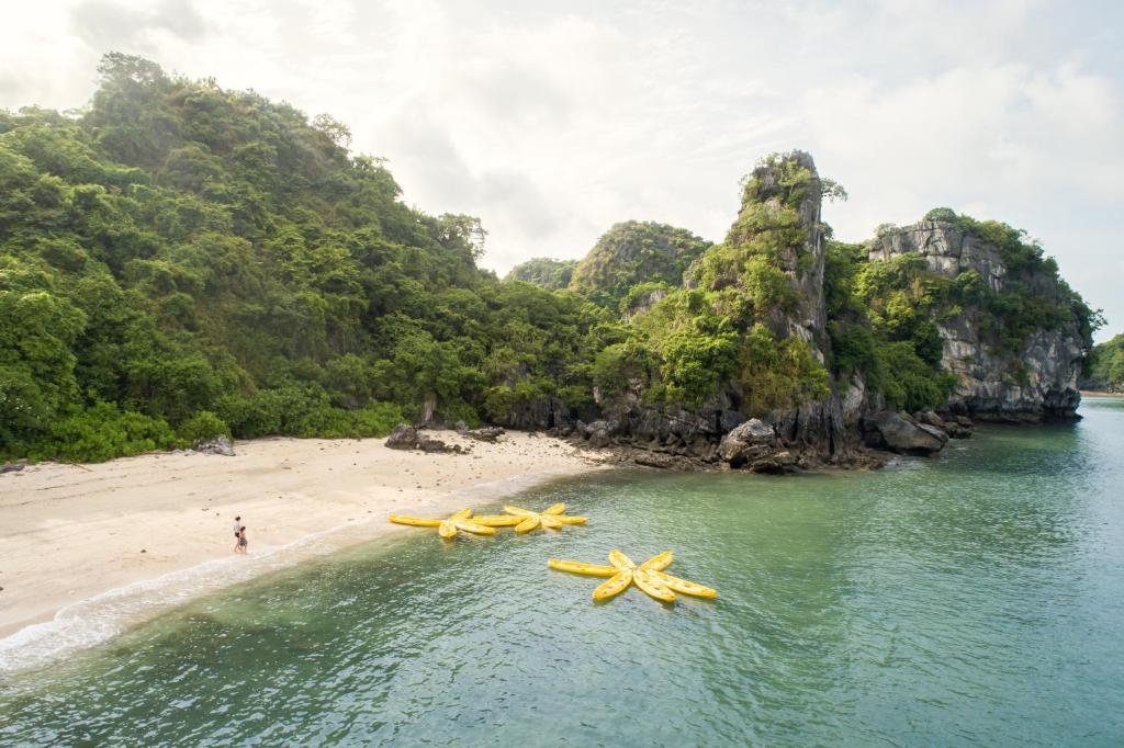 Swan Boutique Cruises photo